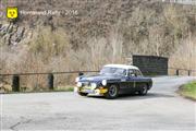 Horneland Rally 2016