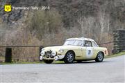 Horneland Rally 2016