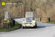 Horneland Rally 2016