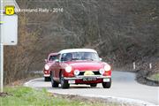 Horneland Rally 2016