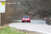 Horneland Rally 2016