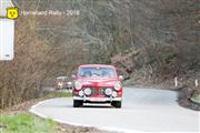 Horneland Rally 2016