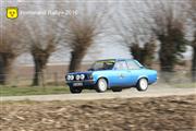 Horneland Rally 2016