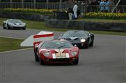 74th Goodwood Members' Meeting