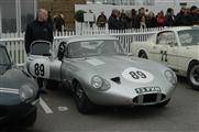 74th Goodwood Members' Meeting