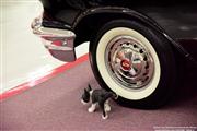 Muscle Car City - FL - USA