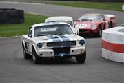 75th Goodwood Members' Meeting