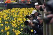 75th Goodwood Members' Meeting