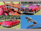 Concours D'Élégance Paleis Het Loo, Apeldoorn