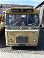 International Oldtimer Bus & Coach Rally Diepenbeek