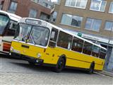 International Oldtimer Bus & Coach Rally Diepenbeek