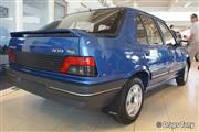 35 Jaar Peugeot 205 Culemborg