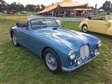 Zoute Concours D'Elegance