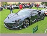 Pebble Beach Concours d'Elegance - foto 44 van 68