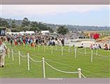 Pebble Beach Concours d'Élégance