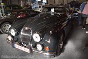 Flanders Collection Cars