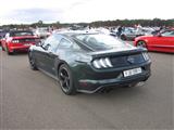 Werelrecord 1326 Mustangs - Ford Lommel