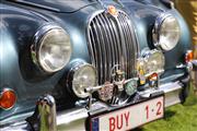 15de Antwerp Concours