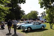 15de Antwerp Concours