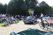 15de Antwerp Concours