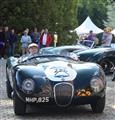 15de Antwerp Concours