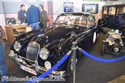 Flanders Collection Cars