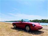 Online oldtimermeeting