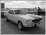 Mustang Fever