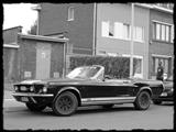 Mustang Fever - foto 30 van 183