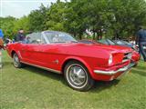 Mustang Fever