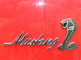 Mustang Fever - foto 58 van 183