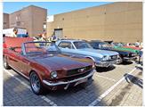 Mustang Fever