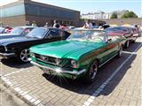 Mustang Fever