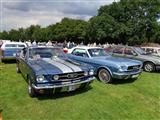 Mustang Fever