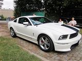 Mustang Fever