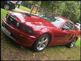 Mustang Fever