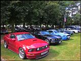 Mustang Fever