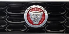Jaguar E-type, a Legend turns 60 (Autoworld) - foto 64 van 171