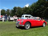 MG fever