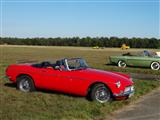 MG fever