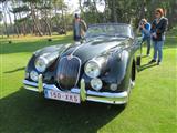 Zoute Concours D'Elegance