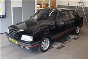 35 Jaar Peugeot 309 Culemborg