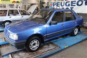 35 Jaar Peugeot 309 Culemborg