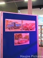 Daf Museum Eindhoven: Tatra Tentoonstelling