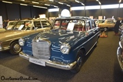 Flanders Collection Cars