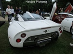 Wheels At The Palace - Concours d'Elegance - Paleis Soestdijk