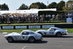 Goodwood Revival