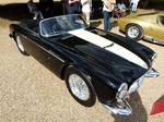 Concours of Elegance, Hampton Court Palace