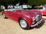 Concours of Elegance, Hampton Court Palace