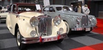 Antwerp Collection Cars